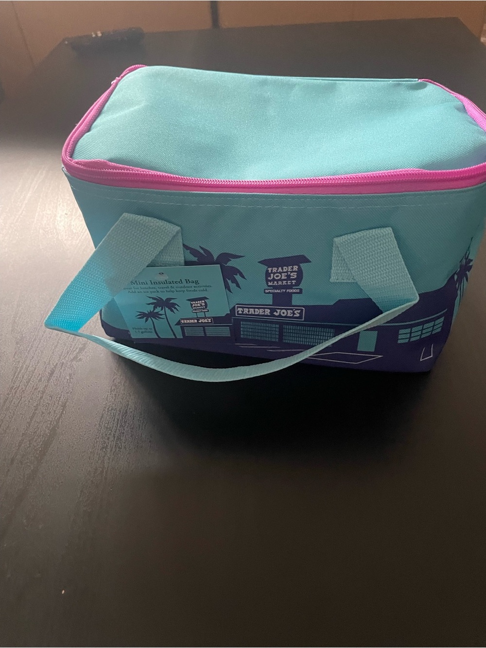 Trader Joe's Teal and Purple Insulated Lunch Bag